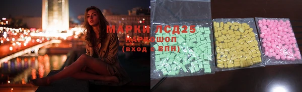 крисы Кулебаки