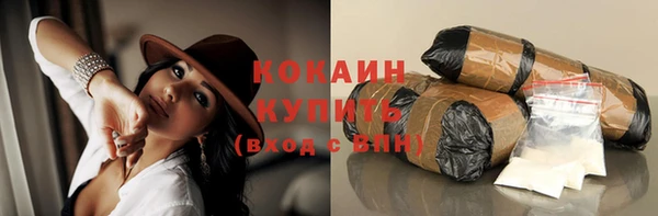 крисы Кулебаки