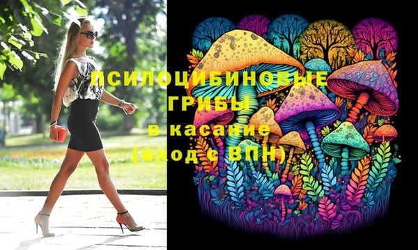 спиды Ладушкин