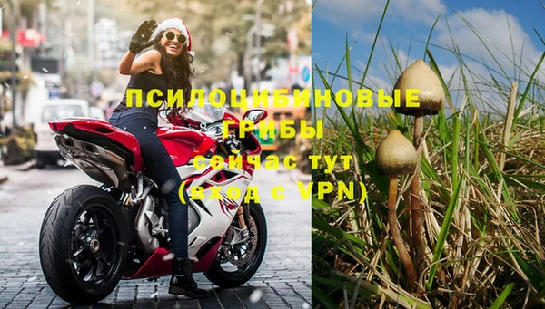 дурь Кукмор
