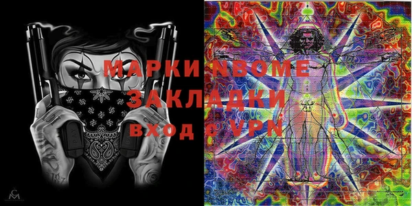 крисы Кулебаки