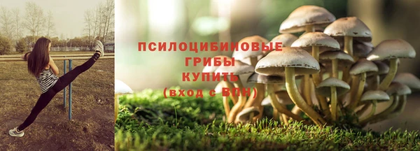 спиды Ладушкин