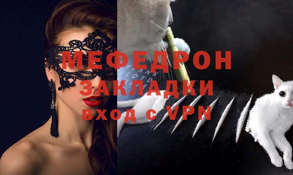 крисы Кулебаки