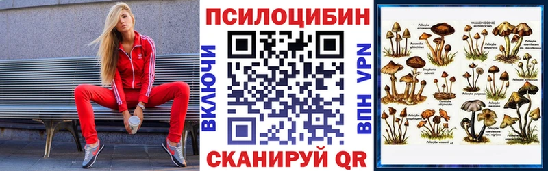 Псилоцибиновые грибы ЛСД  Анадырь 